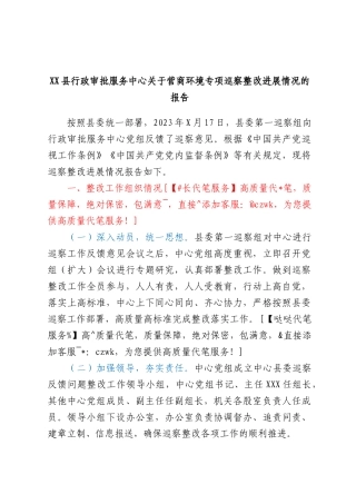 XX县行政审批服务中心关于营商环境专项巡察整改进展情况的报告