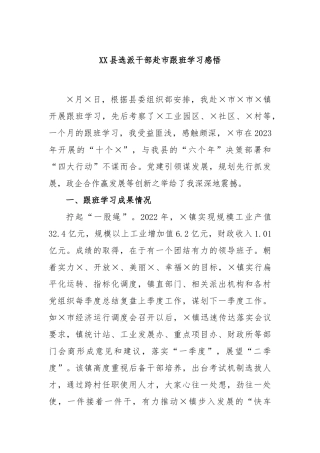 XX县选派干部赴市跟班学习感悟