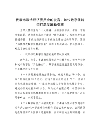 代表市政协经济委员会的发言：加快数字化转型打造发展新引擎