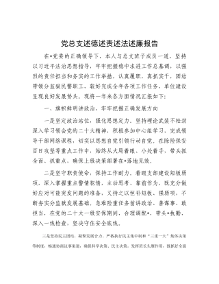党总支述德述责述法述廉报告