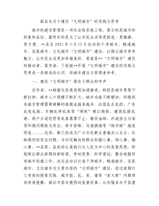 副县长关于建设“文明城市”的实践与思考