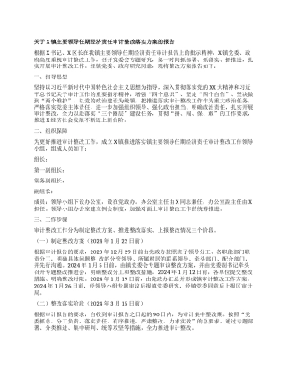 关于X镇主要领导任期经济责任审计整改落实方案的报告