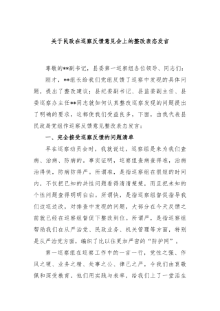 关于民政在巡察反馈意见会上的整改表态发言