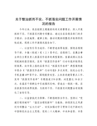 关于整治抓而不实、不抓落实 问题工作开展情况的报告