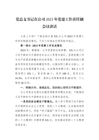 党总支书记在公司+2023+年党建工作责任制会议讲话