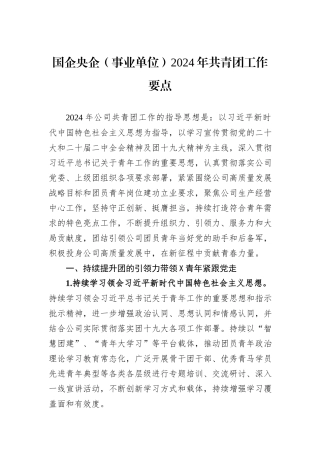 国企央企（事业单位）2024年共青团工作要点