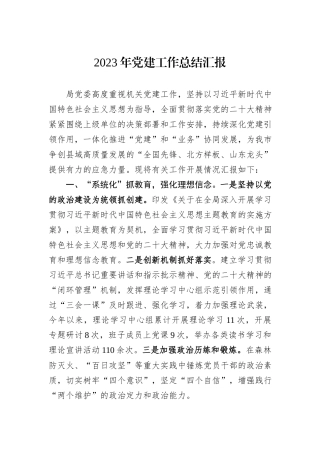 2023年党建工作总结汇报