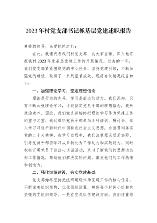2023年村党支部书记抓基层党建述职报告