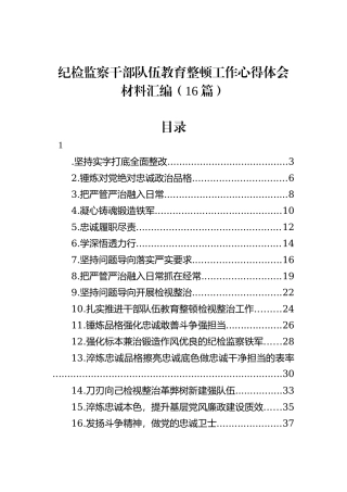 纪检监察干部队伍教育整顿工作心得体会材料汇编（16篇）