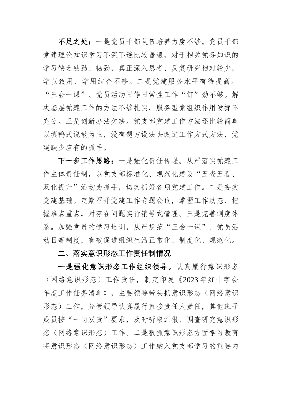 区红十字会党支部抓基层党建述职报告_第2页