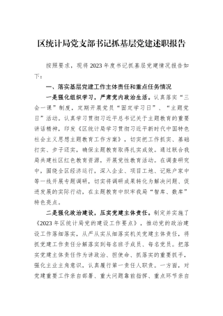 区统计局党支部书记抓基层党建述职报告