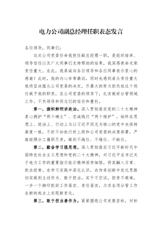 电力公司副总经理任职表态发言