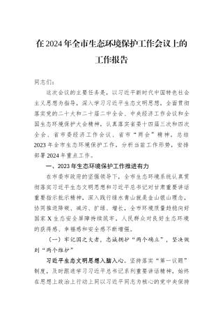 在2024年全市生态环境保护工作会议上的工作报告