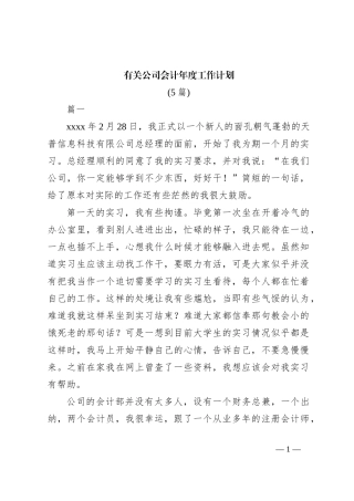 (5篇)有关公司会计年度工作计划