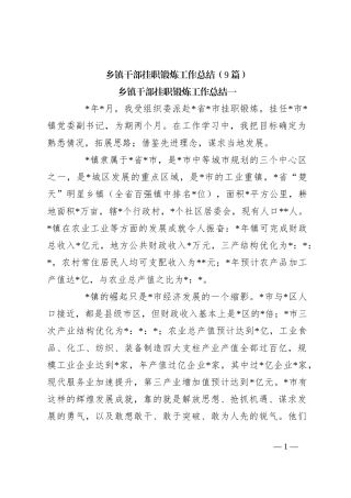（9篇）乡镇干部挂职锻炼工作总结