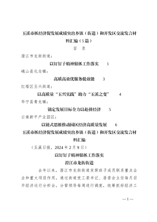（5篇）玉溪市抓经济促发展成绩突出乡镇（街道）和开发区交流发言稿材料汇编