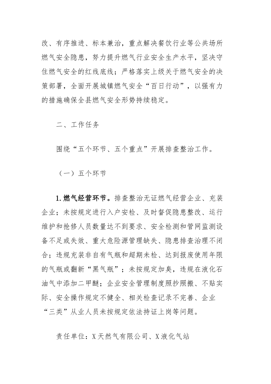 XXX燃气安全整治“百日行动”实施方案_第2页