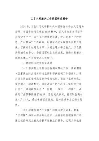 X县乡村振兴工作开展情况报告