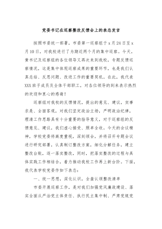 党委书记在巡察整改反馈会上的表态发言稿