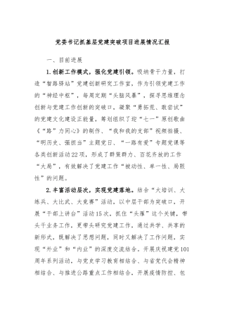 党委书记抓基层党建突破项目进展情况汇报