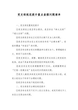 党支部规范提升重点查摆问题清单