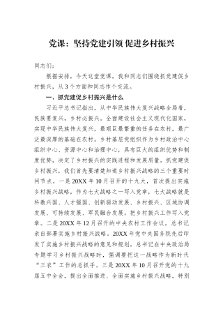 党课：坚持党建引领+促进乡村振兴