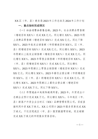 XX区（市、县）商务局2023年工作总结及2024年工作计划