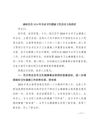副市长在2024年全市卫生健康工作会议上的讲话