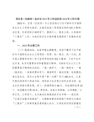 某区委（区政府）办公室2023年工作总结及2024年工作计划