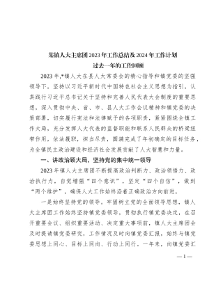 某镇人大主席团2023年工作总结及2024年工作计划
