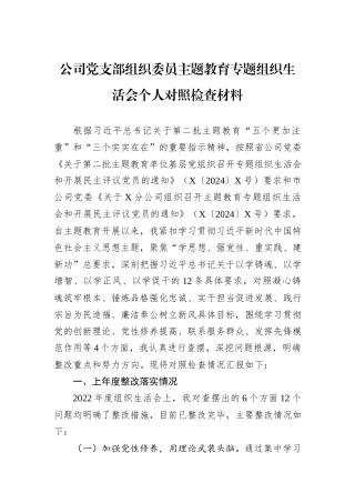 公司党支部组织委员主题教育专题组织生活会个人对照检查材料