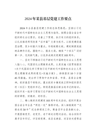 2024年某县基层党建工作要点
