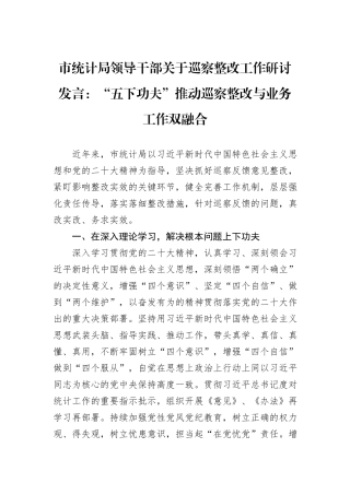 市统计局领导干部关于巡察整改工作研讨发言：“五下功夫”推动巡察整改与业务工作双融合