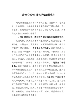 处置突发事件专题培训感悟