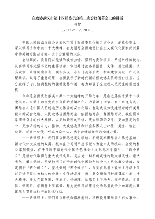 【高质量】杨智：在政协武汉市第十四届委员会第二次会议闭幕会上的讲话