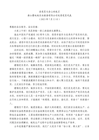 【高质量】唐山曹妃甸实业港务有限公司优秀党员代表：在党员大会上的发言