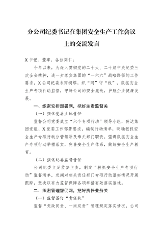 分公司纪委书记在集团安全生产工作会议上的交流发言