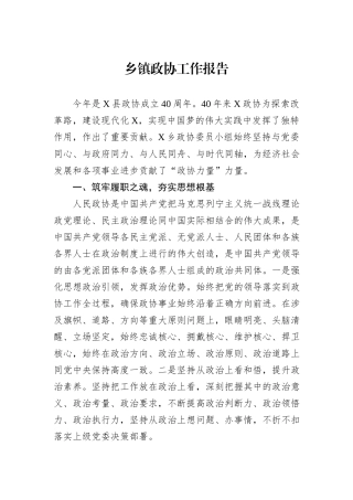 乡镇政协工作报告