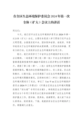在全区生态环境保护委员会2024年第一次全体（扩大）会议上的讲话