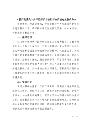 X县贯彻落实中央环境保护督察组督察反馈意见整改方案
