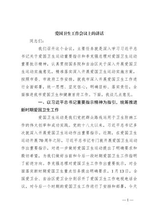 爱国卫生工作会议上的讲话
