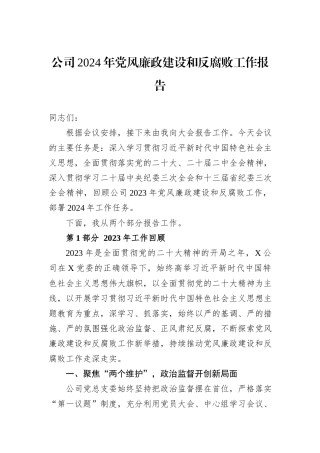 公司2024年党风廉政建设和反腐败工作报告