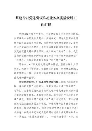 某建行以党建引领推动业务高质量发展工作汇报
