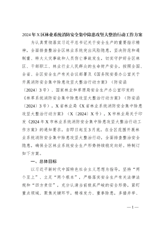 2024年X区林业系统消防安全集中除患攻坚大整治行动工作方案