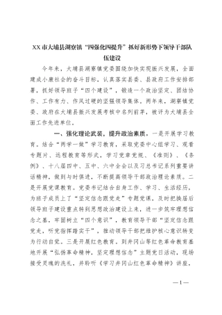 XX市大埔县湖寮镇“四强化四提升”抓好新形势下领导干部队伍建设