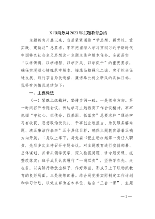 X市商务局2023年主题教育总结