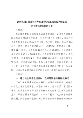 创新机制 多措并举 着力推进基层党组织书记队伍建设