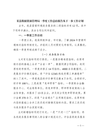 某县数据资源管理局一季度工作总结报告及下一步工作计划