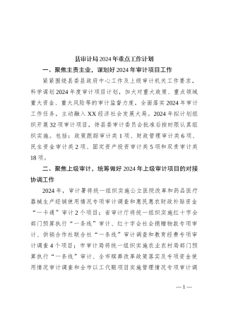 县审计局2024年重点工作计划