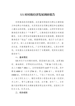 XX村村级经济发展调研报告